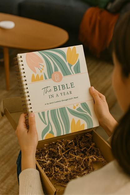 The Bible in a Year: 52 Weeks of God’s Word